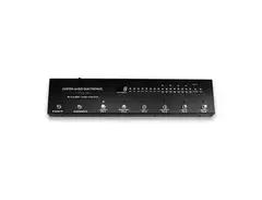 Custom Audio Electronics RS-616