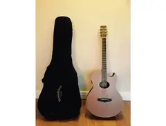 Tanglewood TW45 FLMB main image