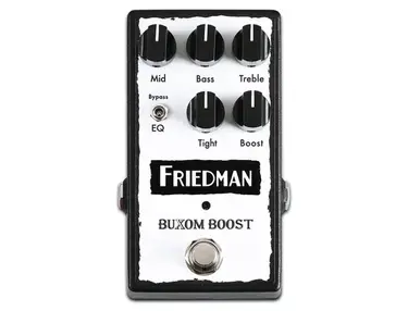 Friedman Buxom Boost