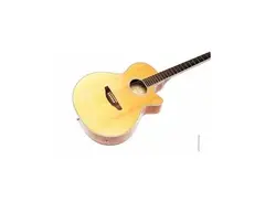 hohner EA-55CEQ main image