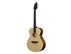Breedlove Passport C200/SMP Guitar main image