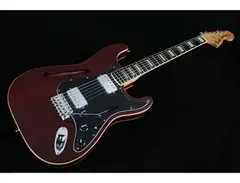 Fender Japan Stratocaster Thinline - ST/HO/2H - What To Know