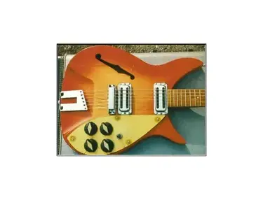 Rickenbacker 310