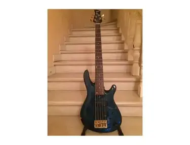 Yamaha TRB 5