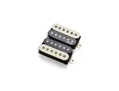 EMG FAT 55