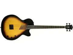 Washburn AB-40 Acoustic Bass