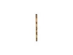Thomann Didgeridoo Beflam main image