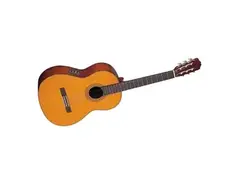 Takamine EG-116 main image