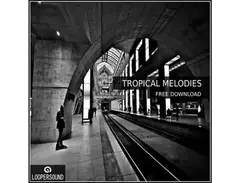 Loopersound - Tropical Melodies - Free Sample Pack main image