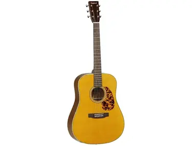 Tanglewood TW40 D AN E Sundance Historic