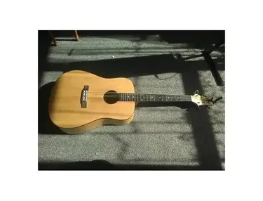 Ashton Music D-20 Acoustic Guitar