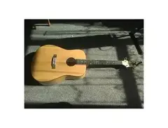 Ashton Music D-20 Acoustic Guitar