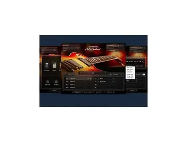 Session Guitarist - Electric Sunburst