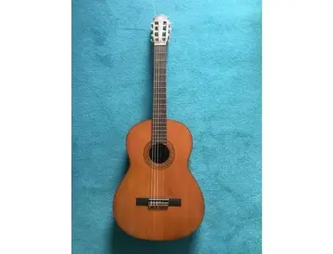 Yamaha G-60A