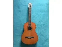 Yamaha G-60A