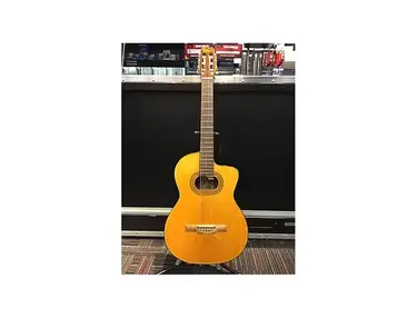 Takamine E30