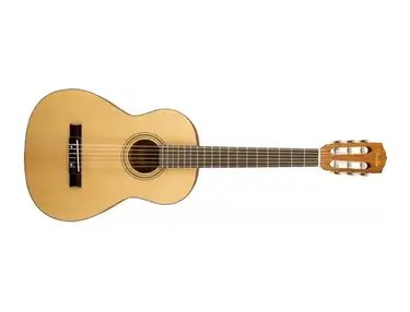 Fender ESC80