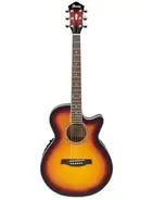 Ibanez AEG10EVS1202 main image