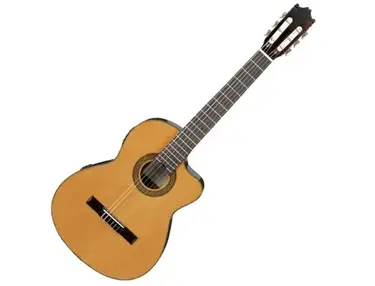 Ibanez G5Ece-AM