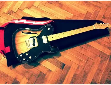 Thinline/Vintage Deluxe hybrid Parts/Tele-caster