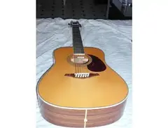 Hohner 12-String Acoustic main image