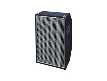 SWR Goliath Jr. III 2x10 Cabinet - What To Know & Where To Buy