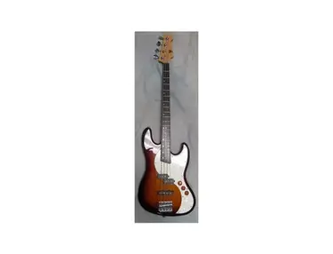 Svk Bass P/J
