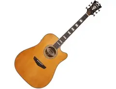 D'Angelico PD500 Premier Bowery