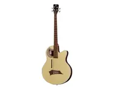Warwick alien deluxe hybrid 4