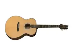 PRS SE T50E main image
