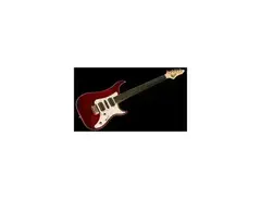 Vigier Excalibur Surfreter Special Fretless Guitar main image