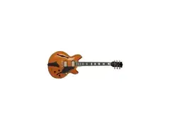 Fret-King Black Label Fkv3 John Etheridge Signature Model