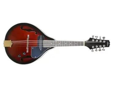 Artist Mandolin