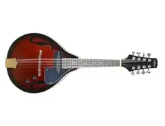 Artist Mandolin main image