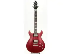 Squier Master Series Esprit main image