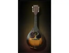 1921 Martin Mandolin main image