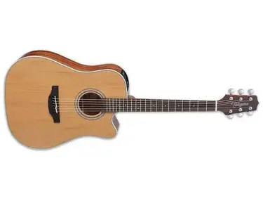 Takamine GD20CE-NS