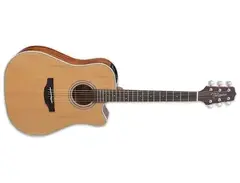 Takamine GD20CE-NS - What To Know & Where To Buy | Equipboard
