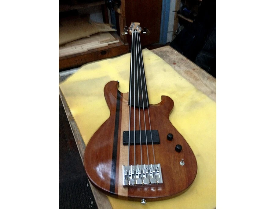 South Paw Esperanza Spalding Custom Fretless 5-String - What To