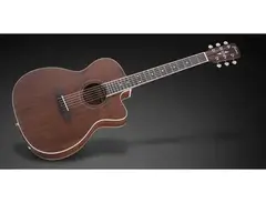 Framus FF 14 M Solid Mahogany CE