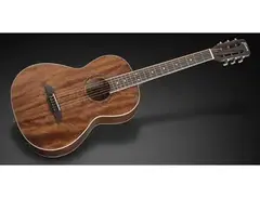 Framus FP 14 Solid Mahogany Top E main image