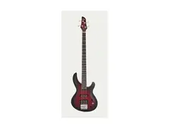 Aria IGB-STD main image