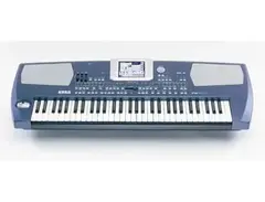 Korg PA500 main image