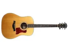 Taylor 110