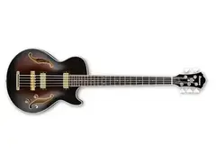 Ibanez Artcore AGB205 main image