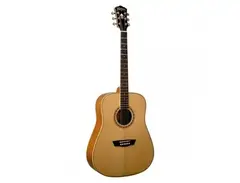 WASHBURN WD10 N main image
