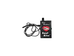 Mike Matthews' Soul Kiss main image