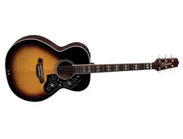 Takamine LTD2009