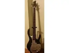 Ibanez Ergodyne Paige Haley