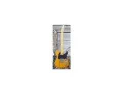 Pebblebrook Custom Guitars Pinecaster Vintage main image